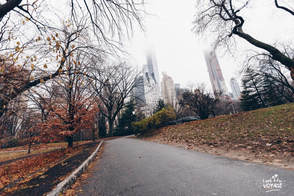 visiter new york, que faire à new york, central park, blog travel l'oeil du voyage