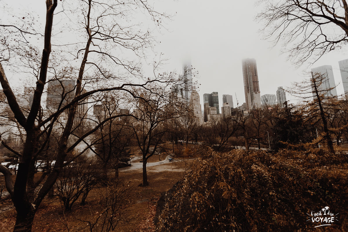 visiter new york, que faire à new york, central park, blog travel l'oeil du voyage