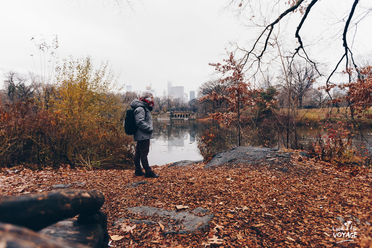 visiter new york, que faire à new york, central park, blog travel l'oeil du voyage visiter new york, que faire à new york, central park, blog travel l'oeil du voyage