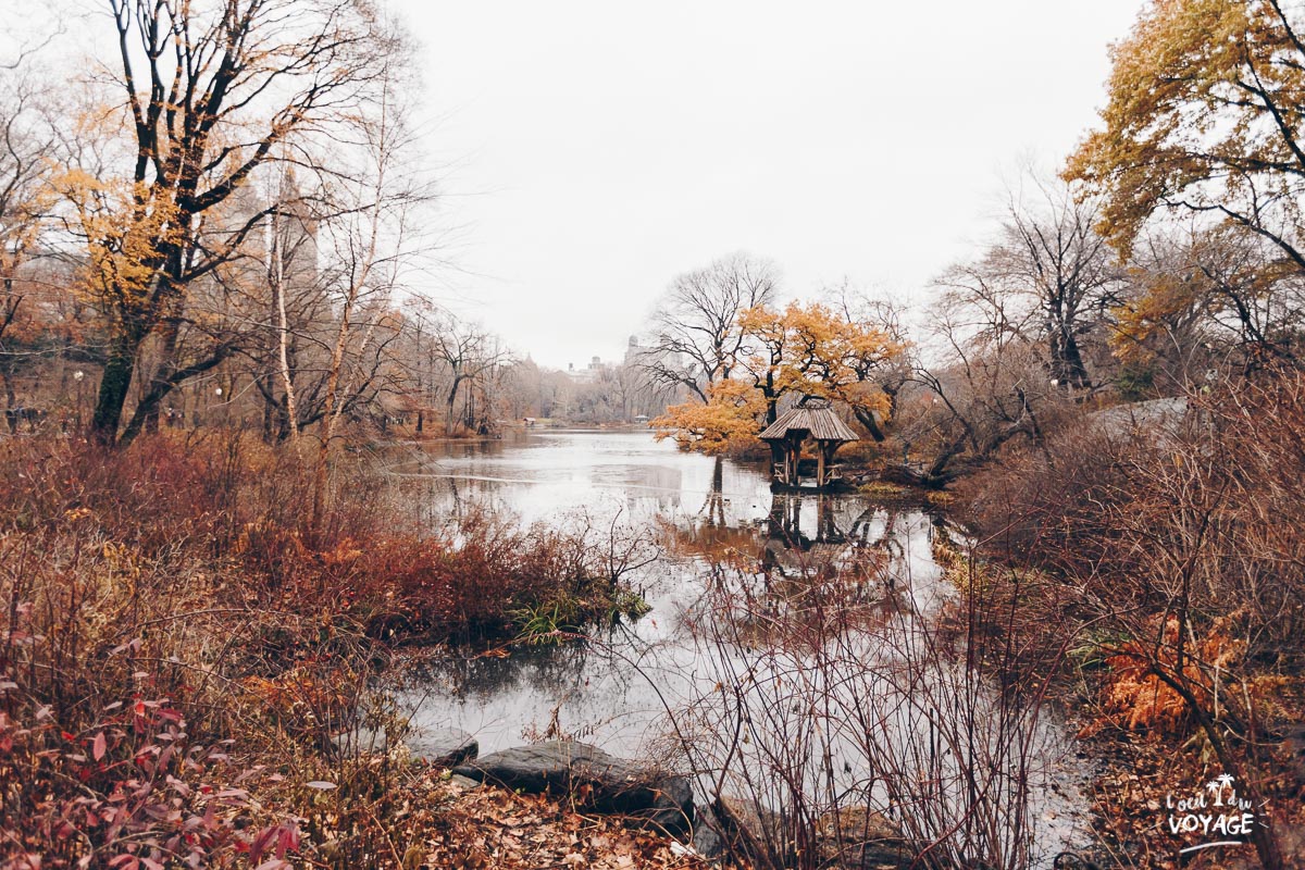 visiter new york, que faire à new york, central park, blog travel l'oeil du voyage visiter new york, que faire à new york, central park, blog travel l'oeil du voyage