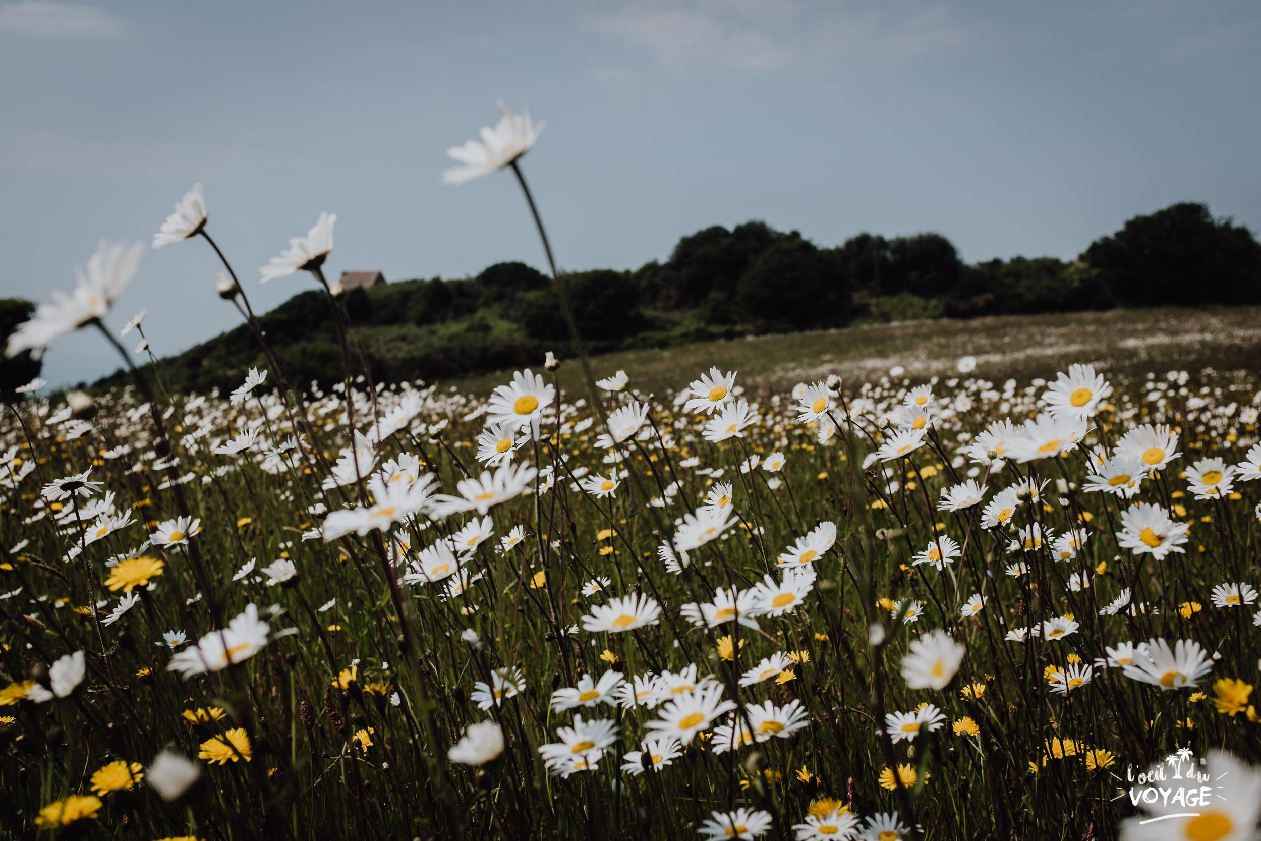 les plus beaux coins de Normandie à découvrir, L'oeil du voyage, tourisme Basse-Normandie