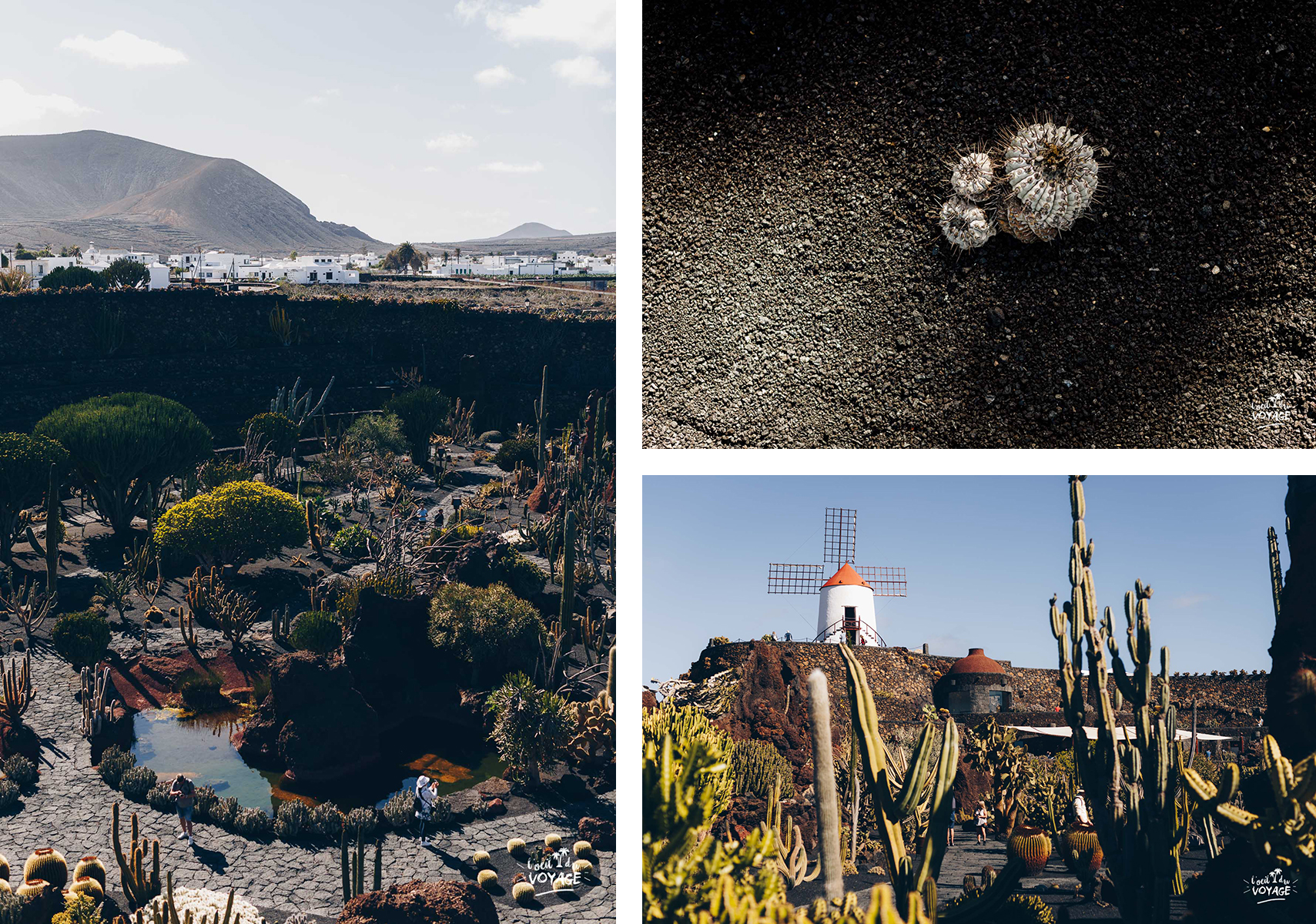 Jardin de Cactus à Guatiza, Lanzarote, par L'oeil de voyage, french travel blogger