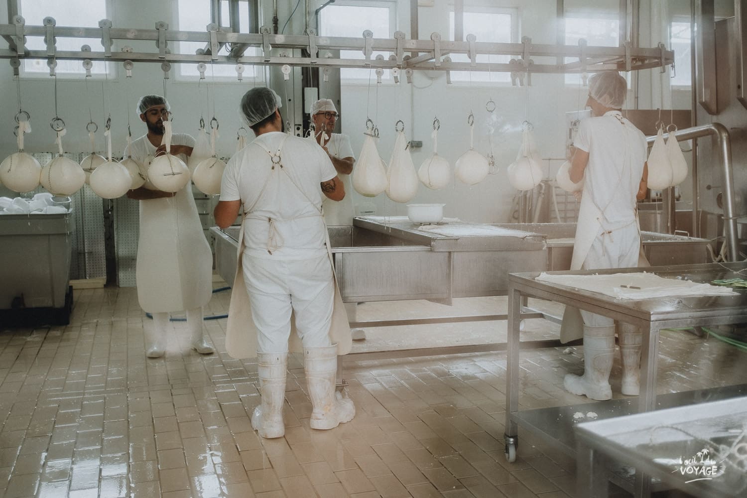 Visiter la ferme Subaida à Minorque et assister à la fabrication des célèbres fromages de Minorque