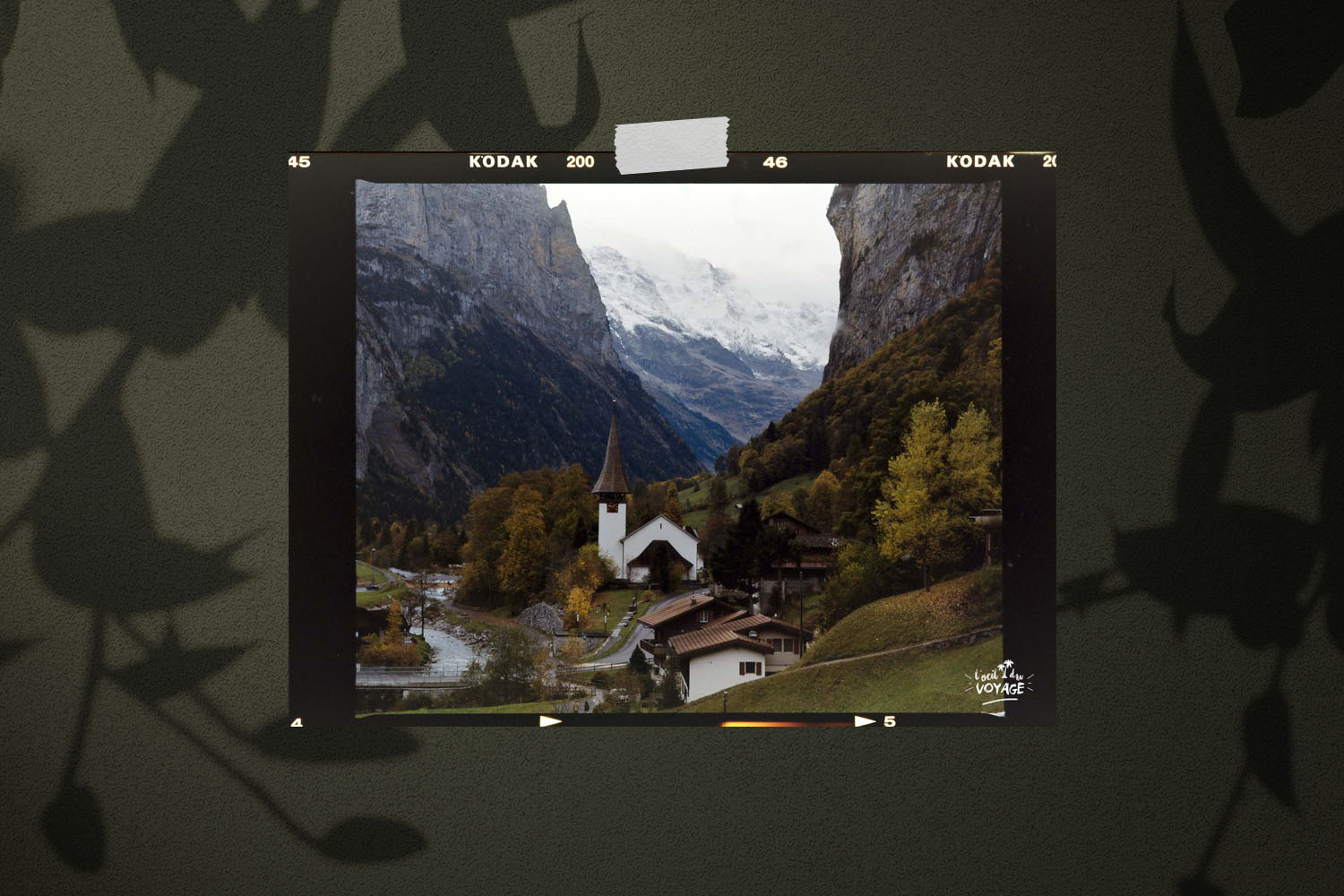 illustration artistique de photo argentique au mamiya rb 67 pro s illustration artistique de photo argentique au mamiya rb 67 pro s