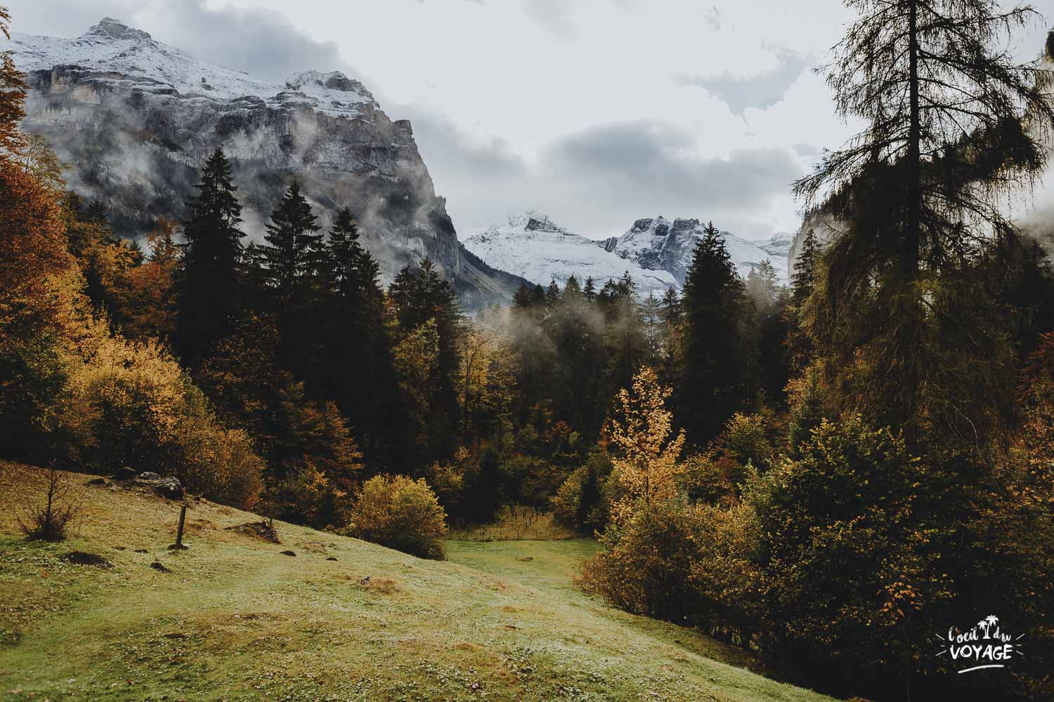 automne, couleurs, suisse, montagne, neige