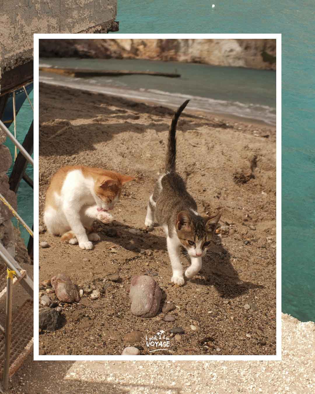 Photographie de voyage à Milos dans les Cyclades.