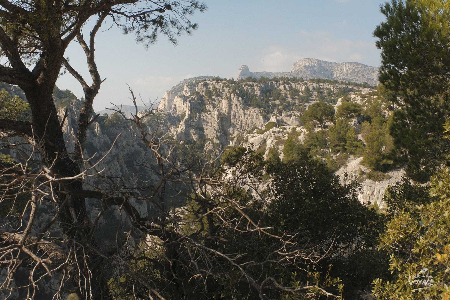 Visiter les calanques de Cassis.
